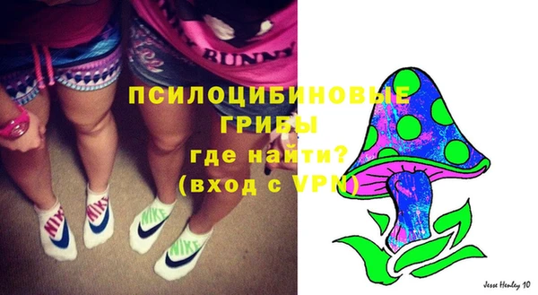 метадон Пестово