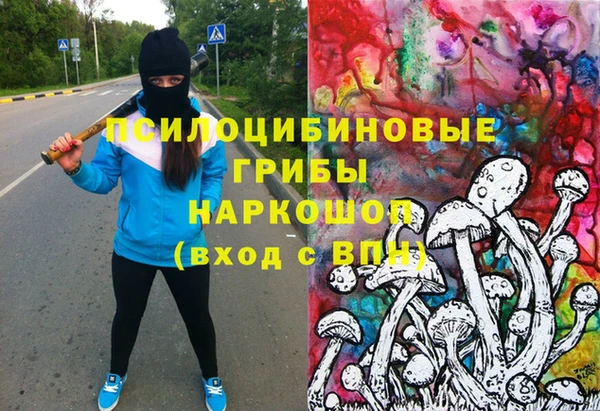 спайс Пересвет