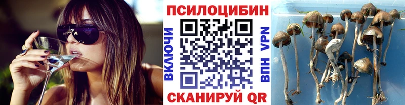 Галлюциногенные грибы мухоморы  Старая Купавна 