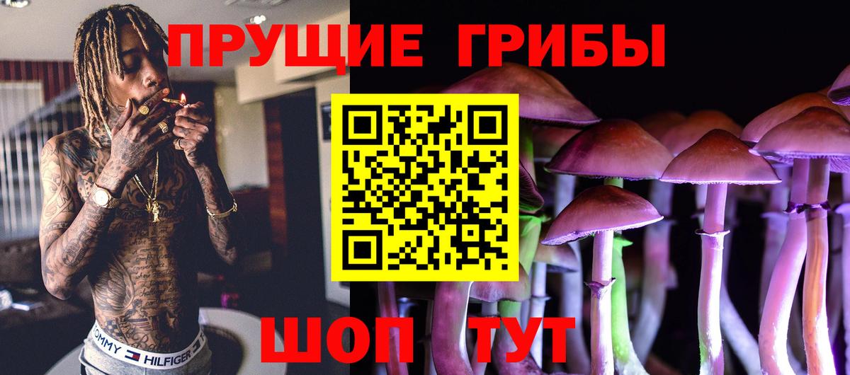 Старая Купавна  Галлюциногенные грибы Psilocybe  Вход с VPN 