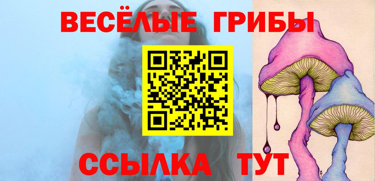 купить наркотик  Старая Купавна  Галлюциногенные грибы Psilocybe 